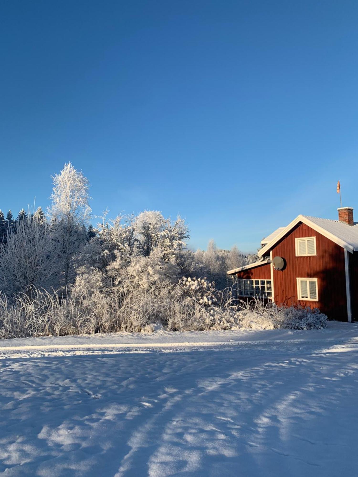 Warm Beheiztes Gemuetliches Haus In Der Natur Sunne Ngoại thất bức ảnh